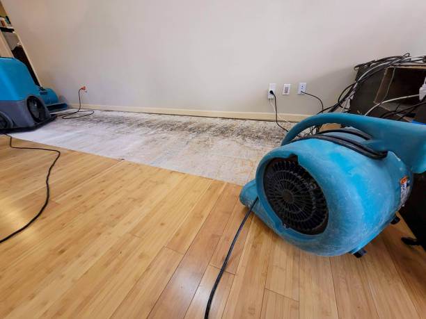 Professional Flood Damage Cleanup technician working in Cuba, NM
